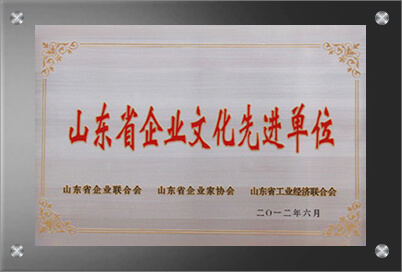 山东省星空电竞先进单位